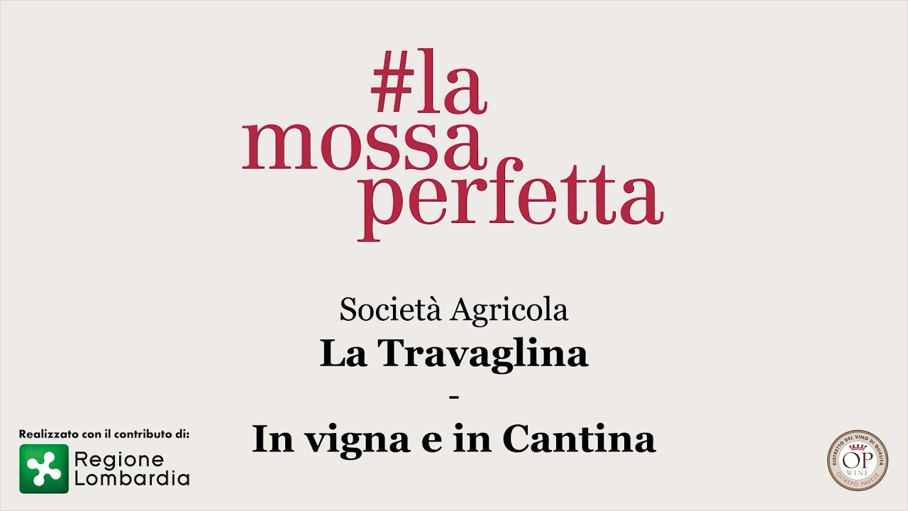 In Cantina e in Vigna produttore La Travaglina