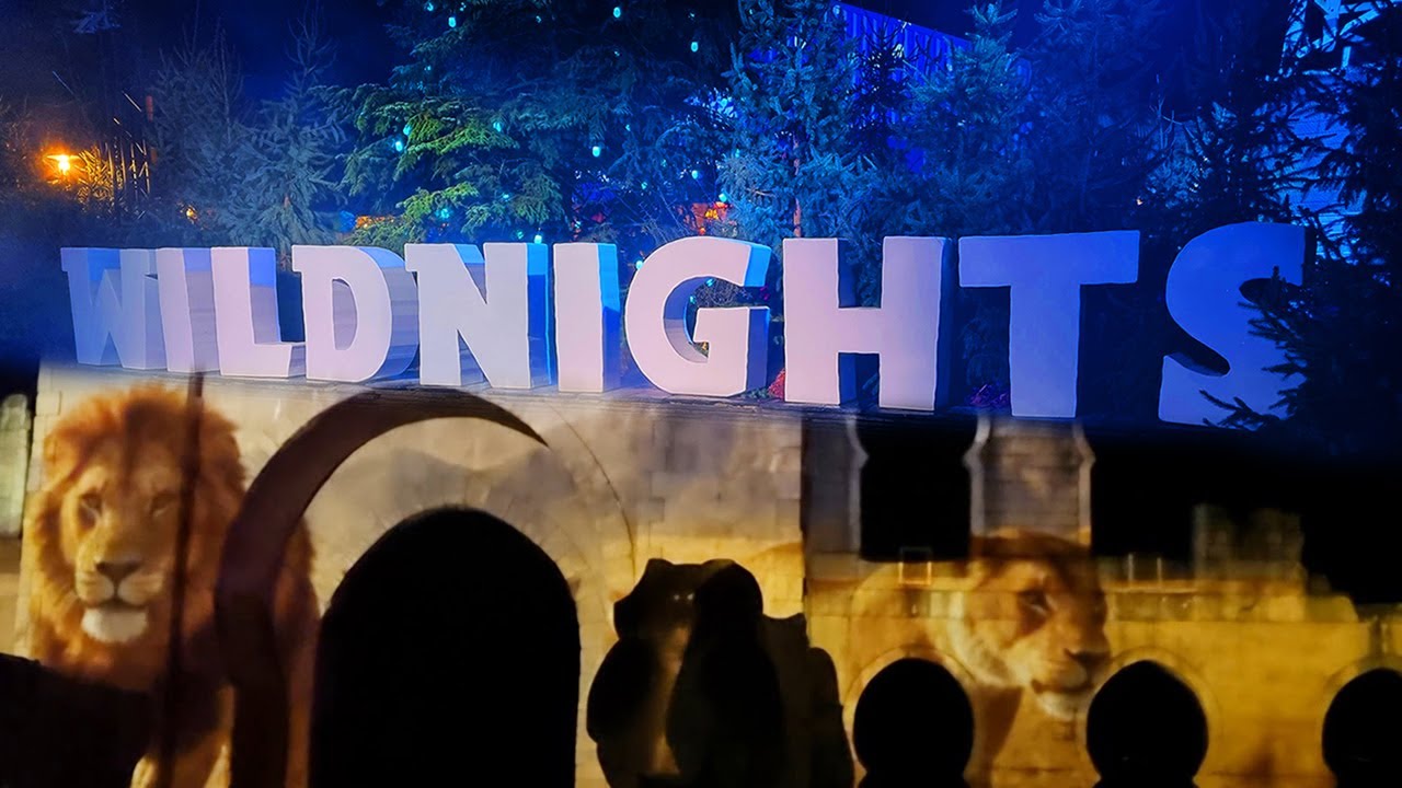 WILDNIGHTS - WILDLANDS ADVENTURE ZOO EMMEN #257