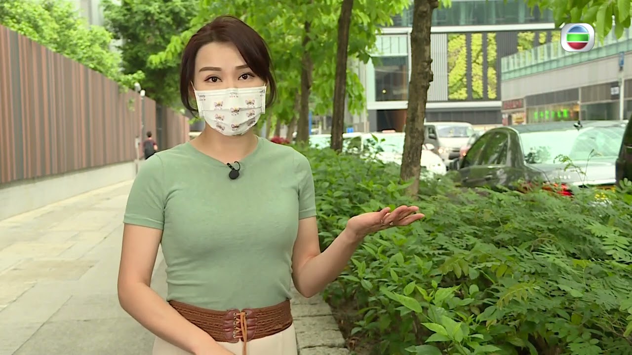 東張西望｜偽富豪｜真騙局｜ 終極身份大起底 ｜搭棚三年呃四億｜江美儀