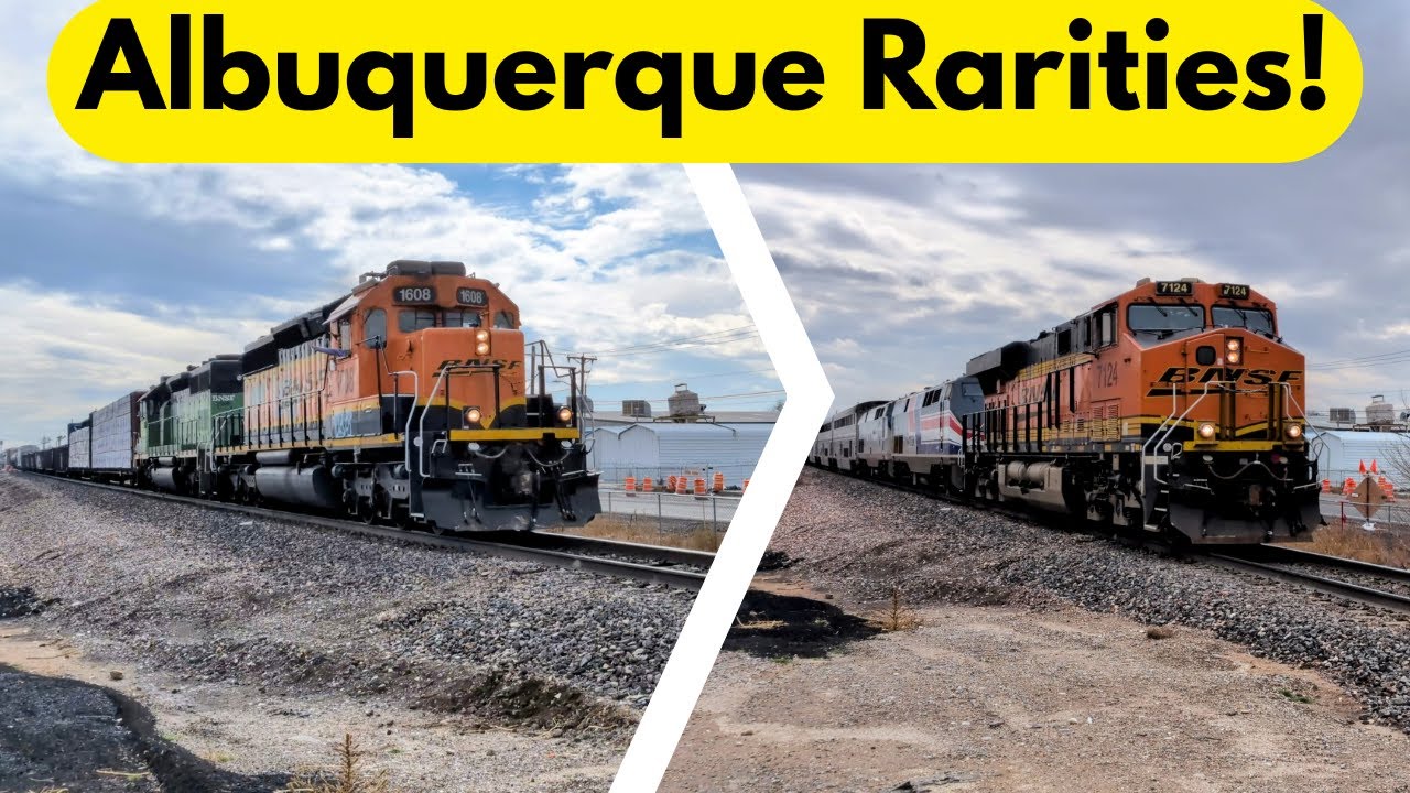 BNSF Leader on Amtrak, Locals, and Commuters! | Albuquerque Rarities!