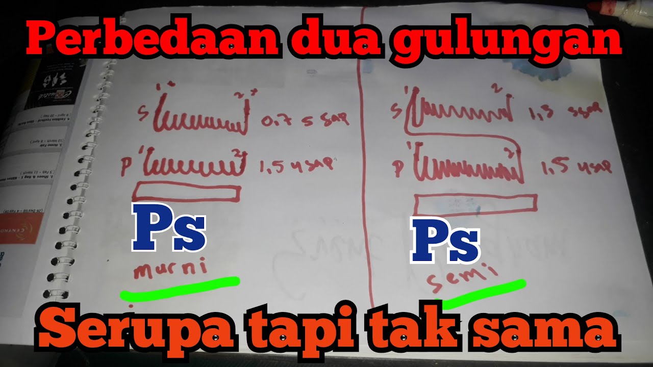 Setrum ikan platina, perbedaan tipe ps semi dan ps murni
