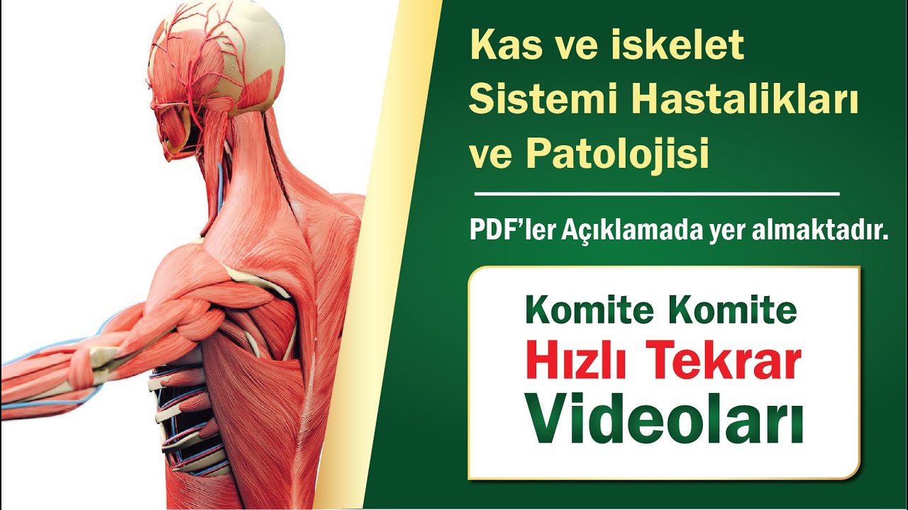 28 | Kas ve iskelet sistemi hastaliklari ve patolojisi Hızlı Tekrar