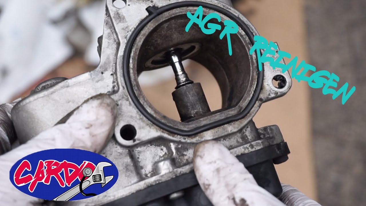 AGR Reinigen EGR Cleaning AGR Ausbauen Dieselskandal AGR Fehler