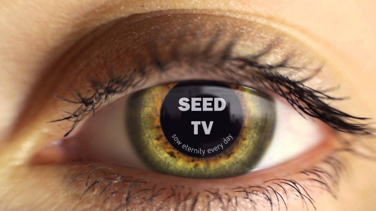 Seed TV promo video!