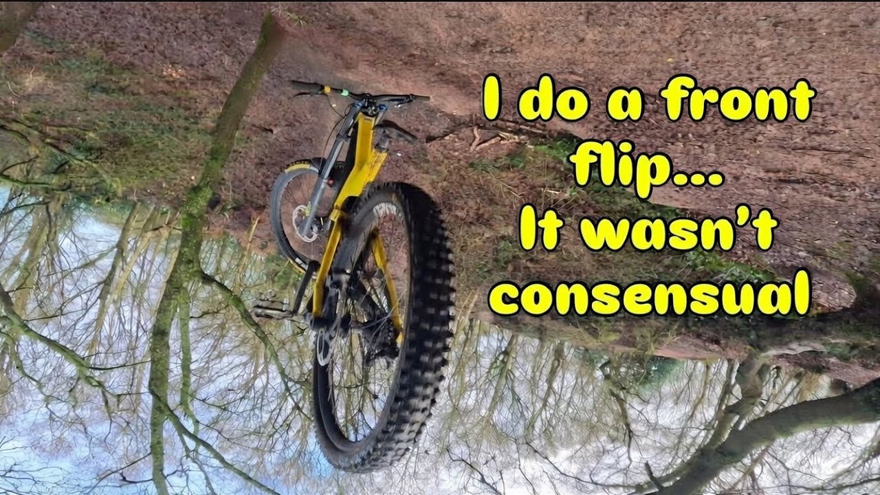 Я делаю сальто вперед, катаюсь по каменистым тропам среди хвойных пород.