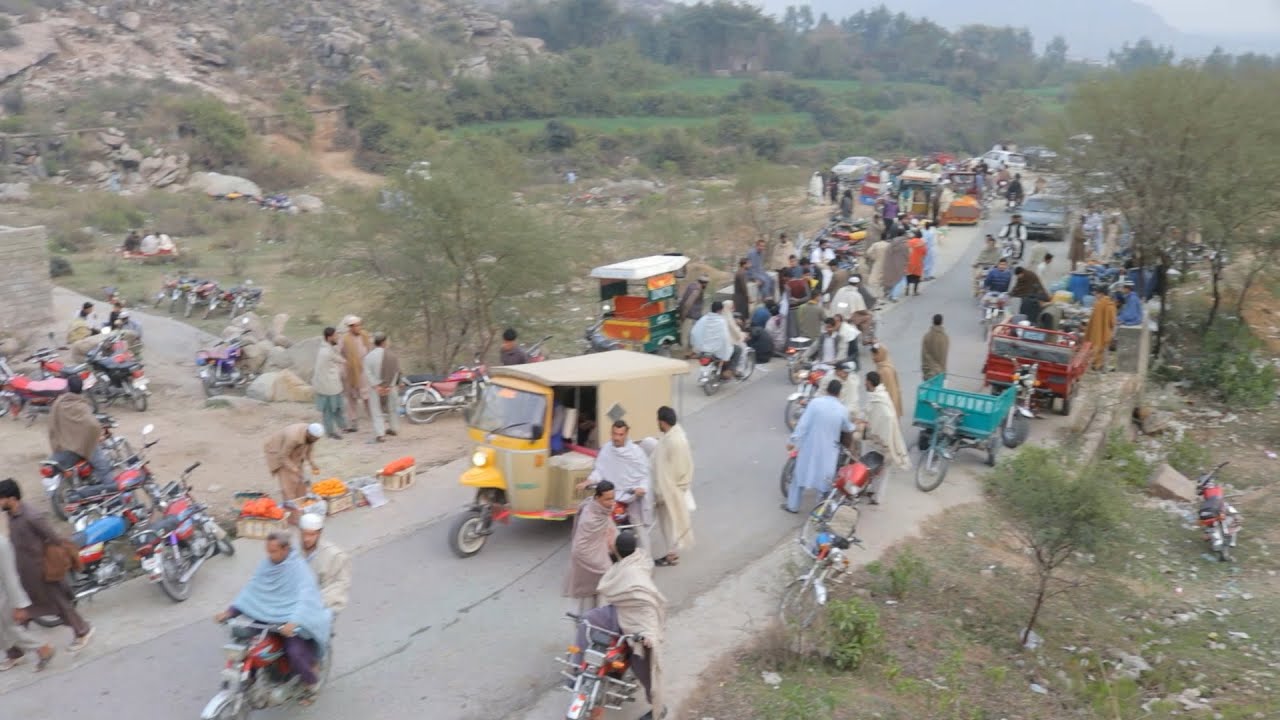 JANNY PICNIC POINT OF PARMOLI  SWABI