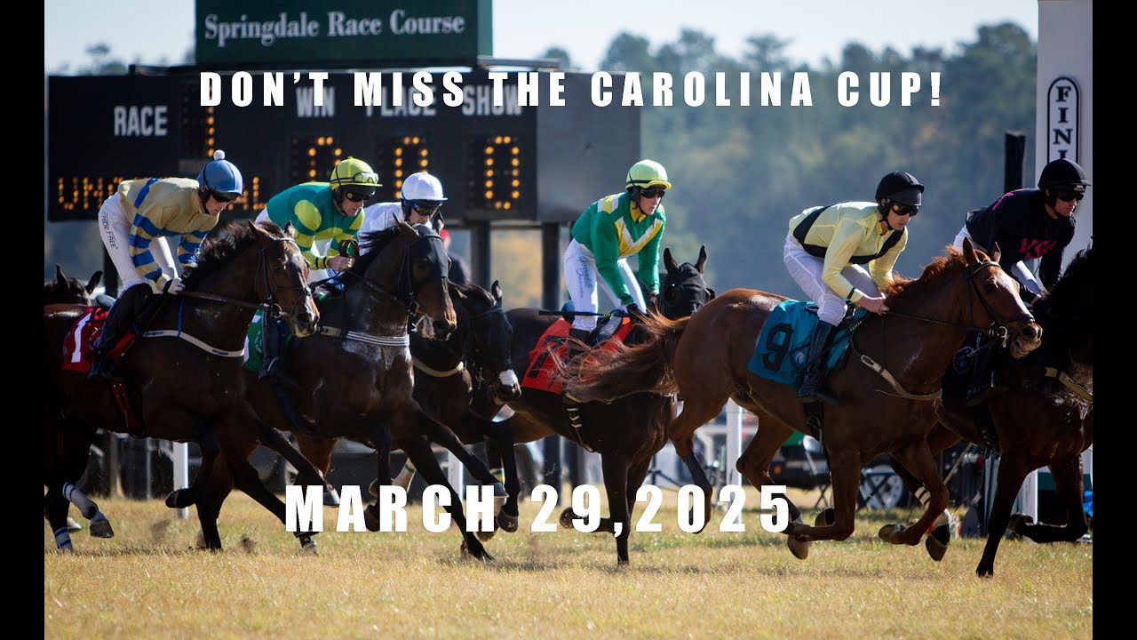 Explore the Fascinating History of Steeplechase Horse Racing at the National Steeplechase Museum