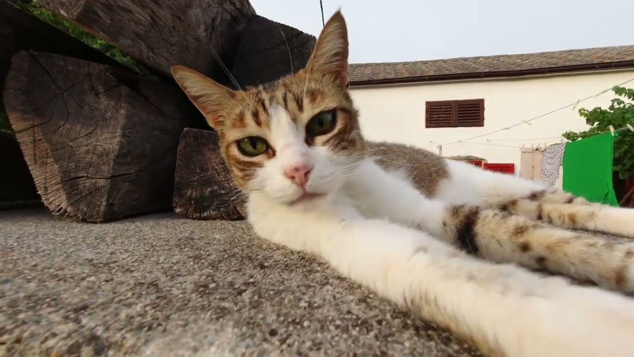 Silba - u potrazi za tajnom lagunom