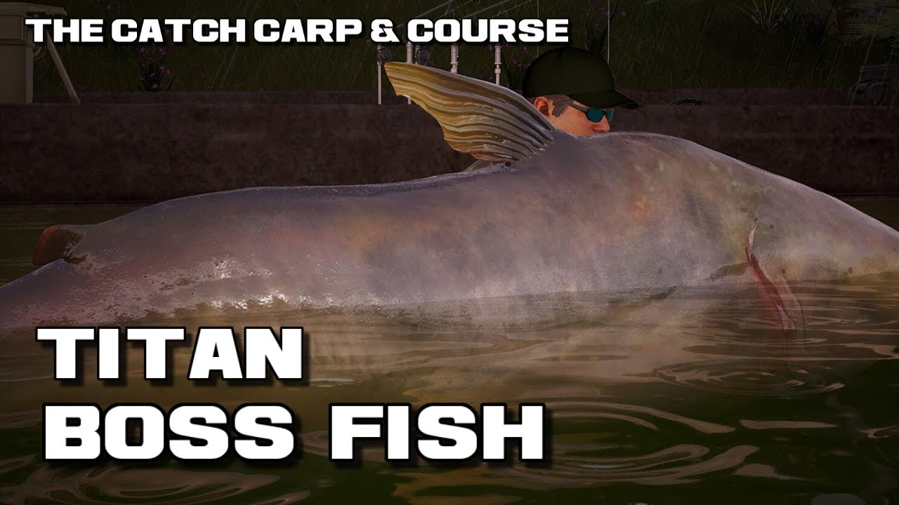 The Catch Carp & Coarse Huge Monster Mekong Catfish Boss Fish Titan 230lb 5oz Pearl Lake
