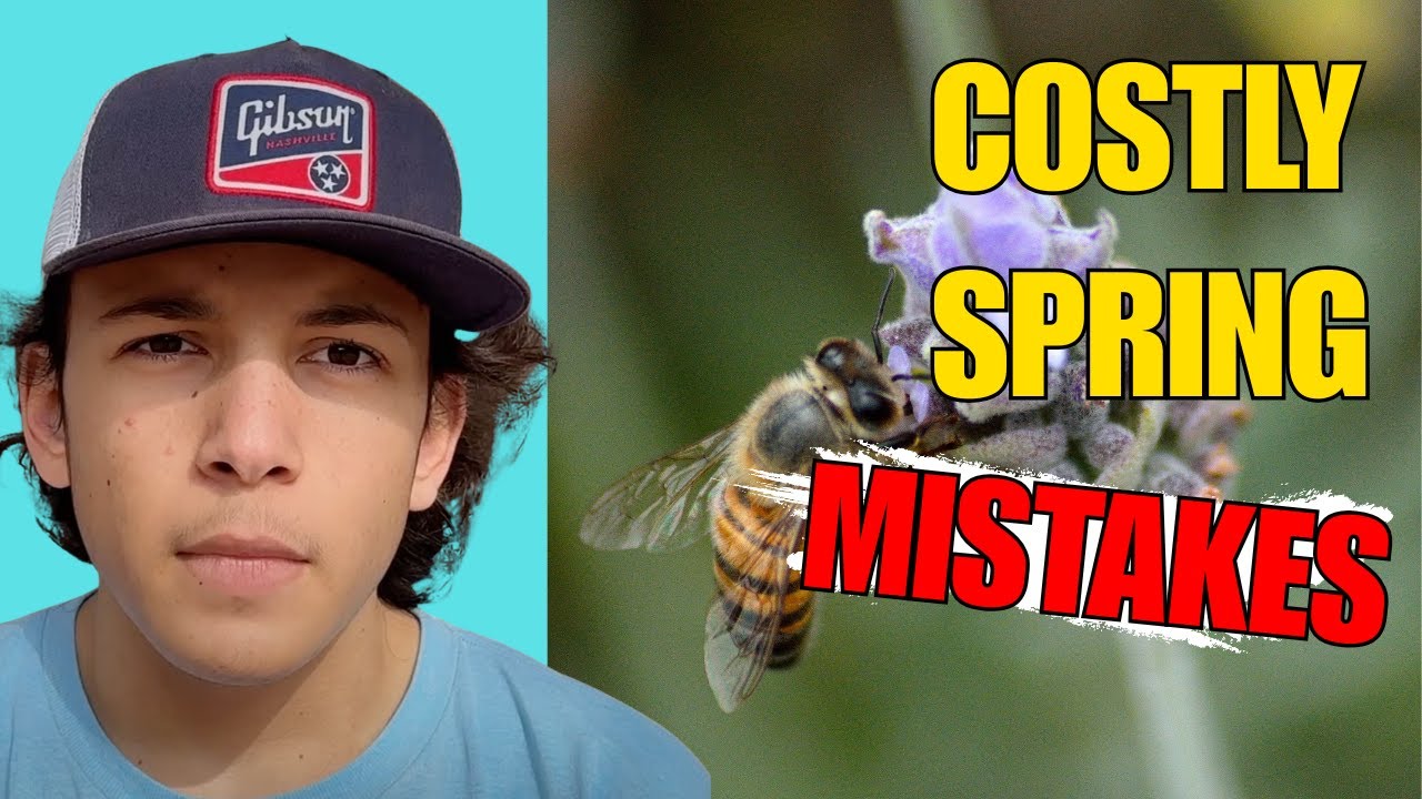 Early Spring Mistakes That Cost Beekeepers Colonies - WILDWOODS BEEKEEPING CHAT