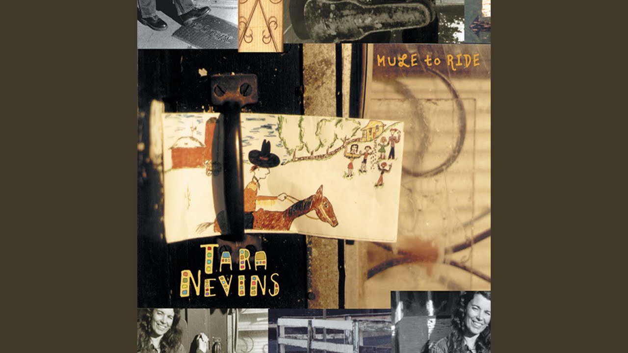 I've Got A Mule To Ride