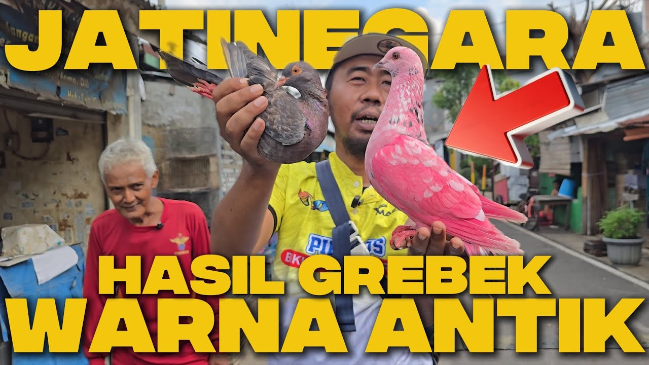 WARNA ANTIK DI KIOS MERPATIKU JATINEGARA