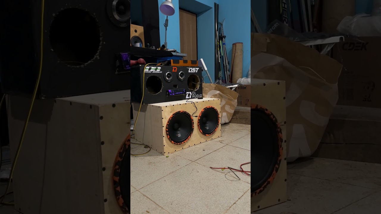 Обзор на канале! DL Audio Gryphon Pro 250 midbass 