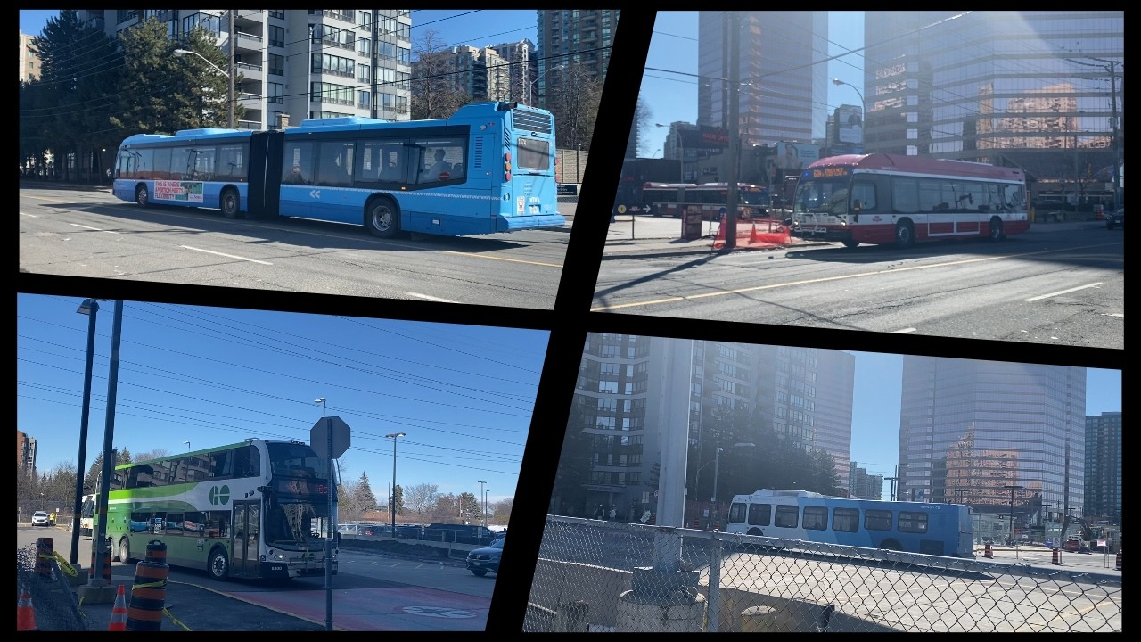My Finch Bus Terminal Catches