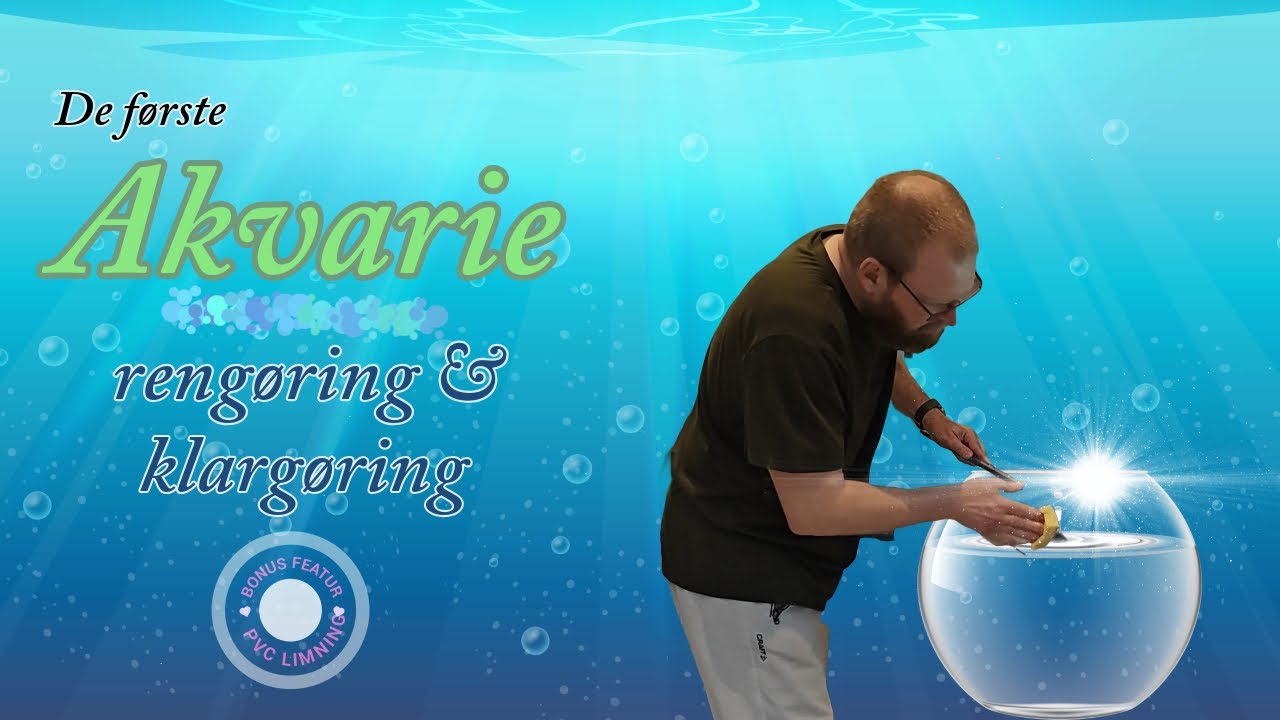 De første akvarier - rengøring og klargøring