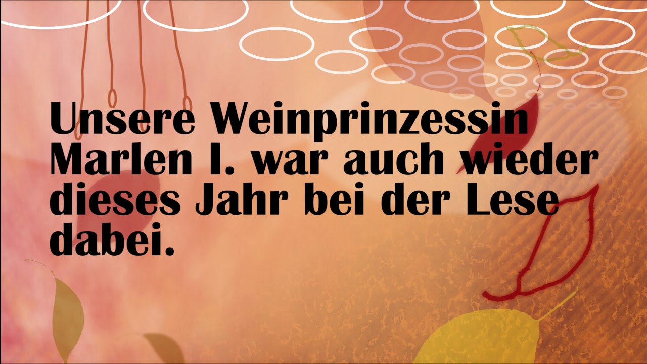 Weinlese 2020