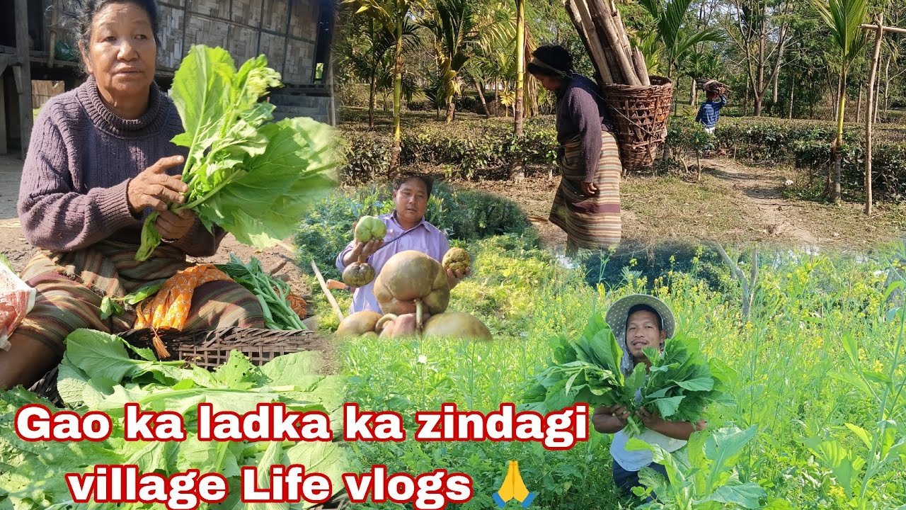Gao ka ladka ka zindagi village Life vlogs 🙏 @sodemsokri1537 