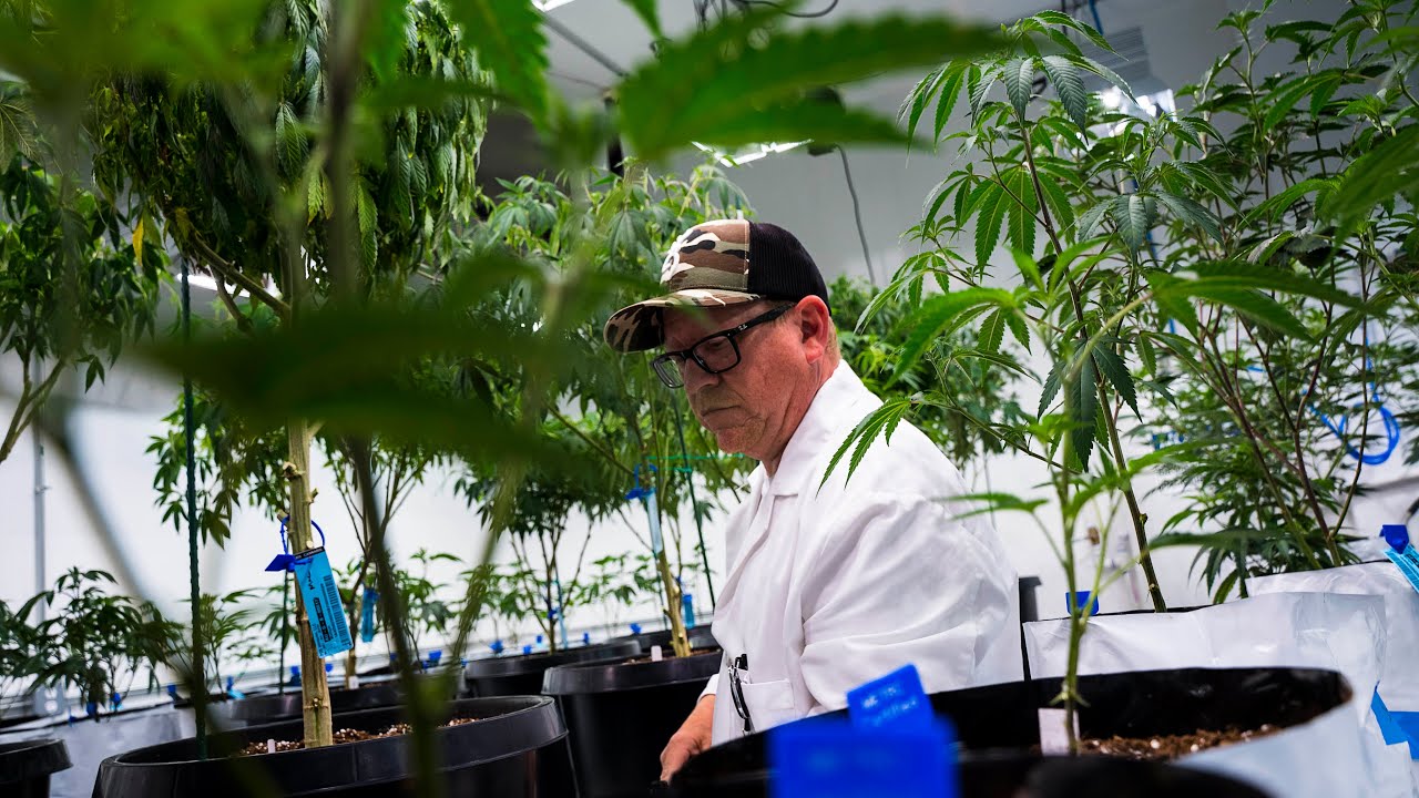 Genetics Update and a Chat | 710 Savant