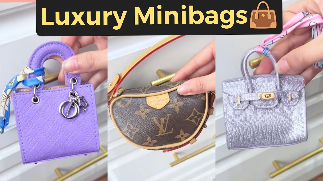 Affordable Minibags that make any outfit look Expensive🤑 Luxury 30 scoop order❤️Enjoy #minibags 