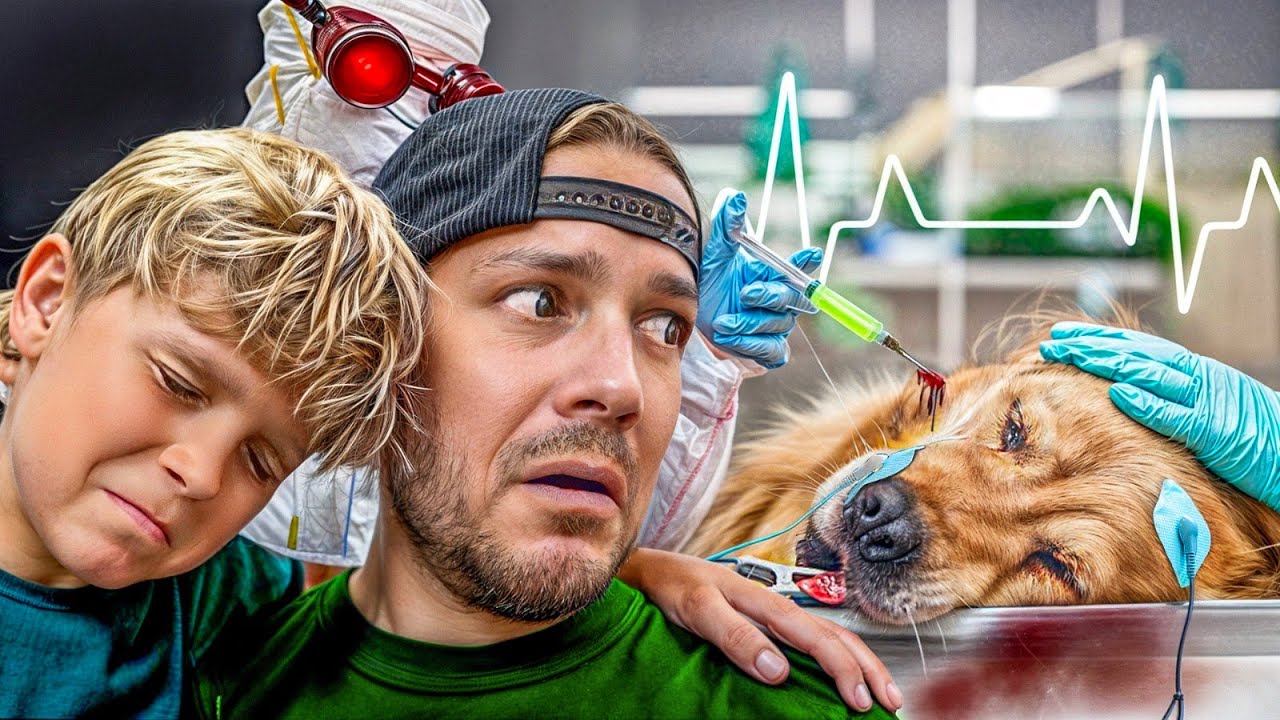 We watched him put our dog to sleep *RIP*