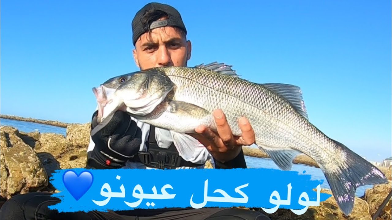 البحث عن سمك الدرعي بتقنية (spinning)