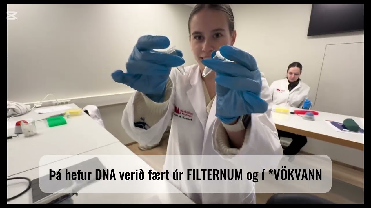 Einangrun DNA, skerðigreining og PCR