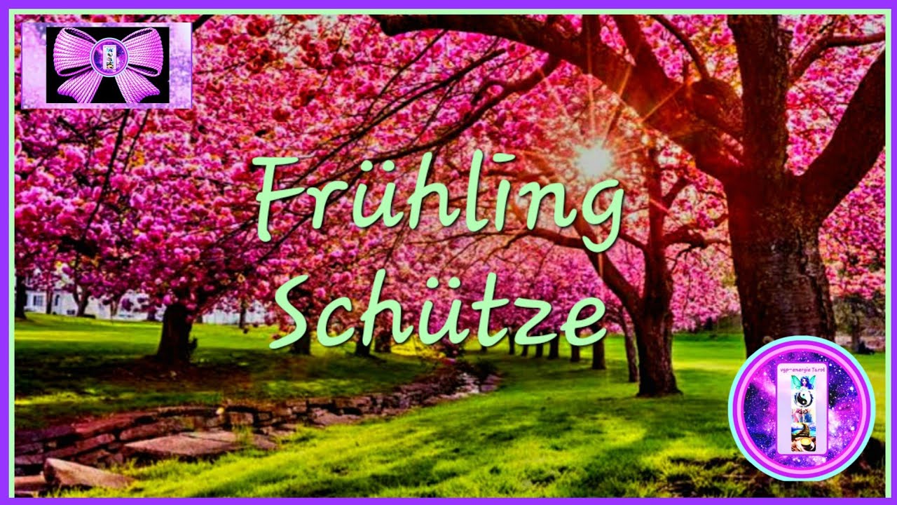 Schütze ♐️ DEIN HÖHEPUNKT IM FRÜHLING 🧚‍♀️Kaffeesatz ☕️ vgp-energie Tarot 