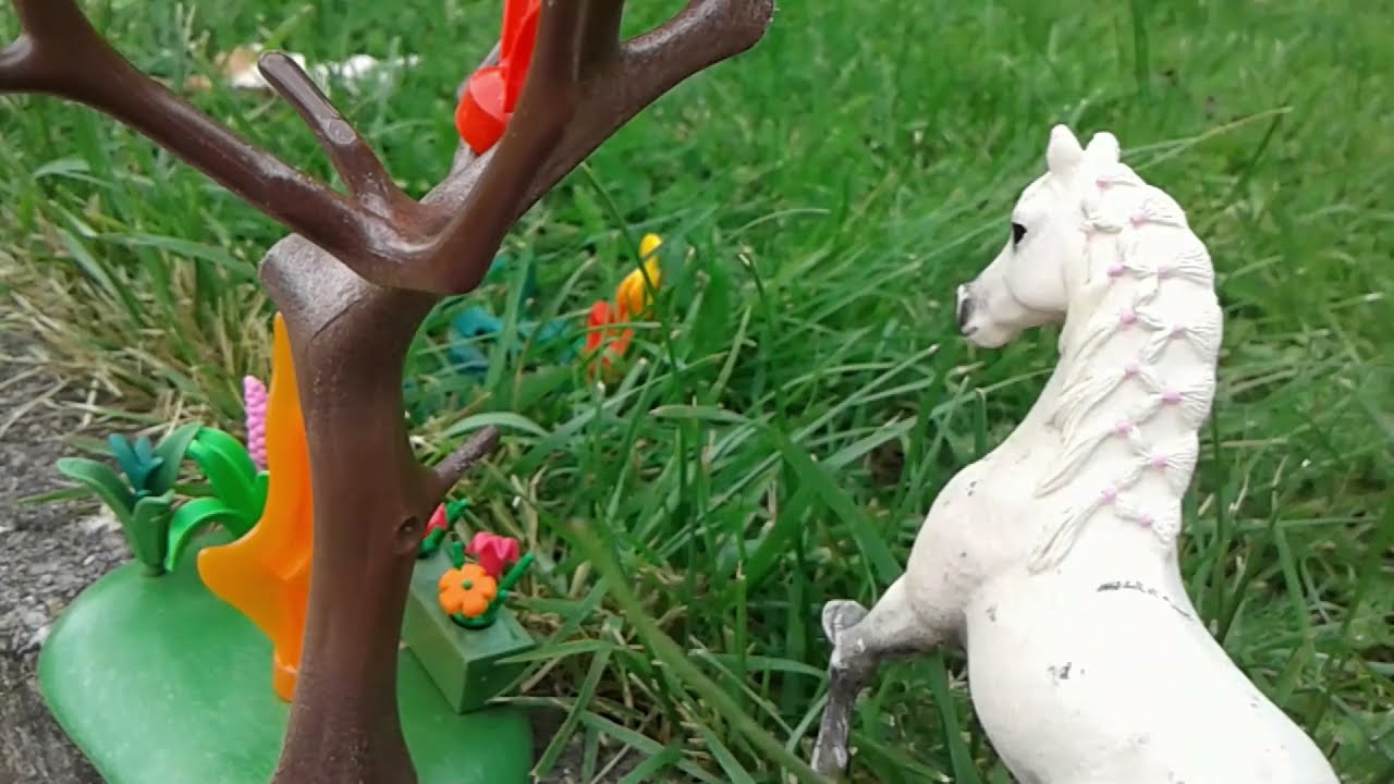 Die 5 Elemente [Schleich Pferde Video]