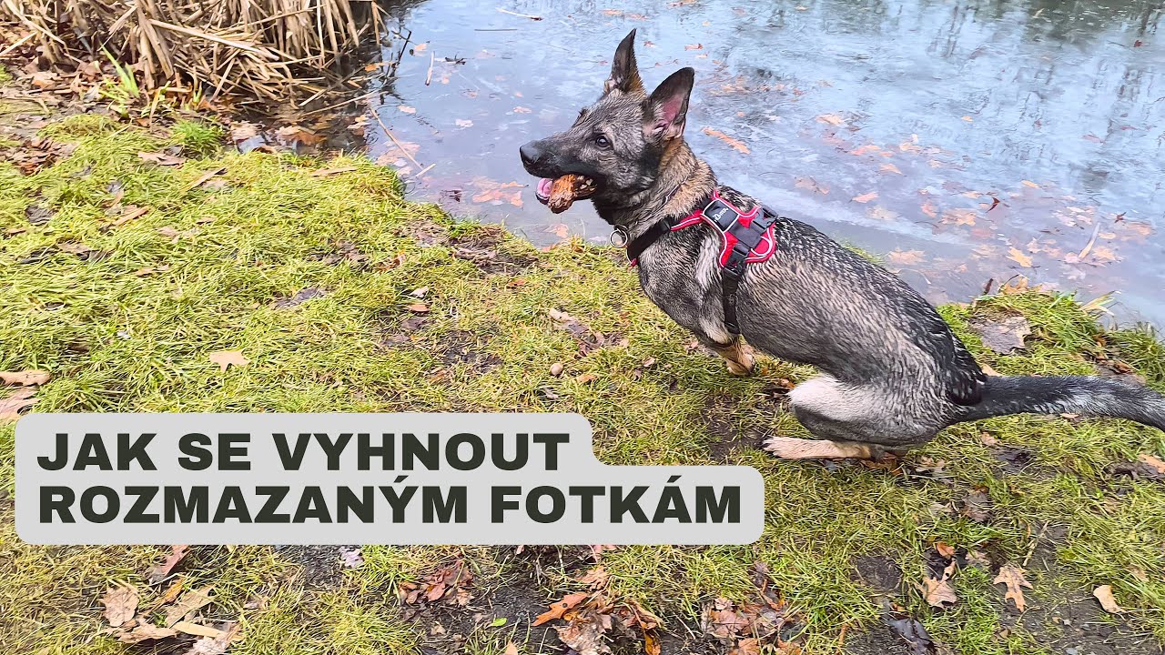 Jak se vyhnout rozmazaným fotkám při focení mobilem (Xiaomi, Samsung, iPhone)