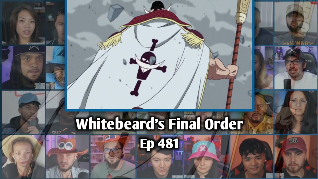WHITEBEARD'S LAST ORDER - ONE PIECE EPISODE 481 REACTION MASHUP