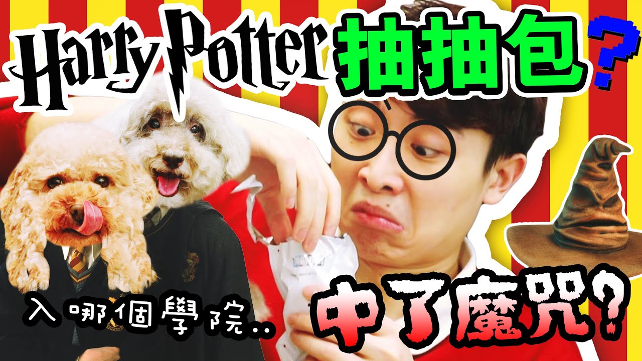 【❤️是愛啊哈利～】抽「哈利波特抽抽包」，竟慘中魔咒😱！竟然抽到了……？分類帽測試？(中字) | Harry Potter盲盒 |