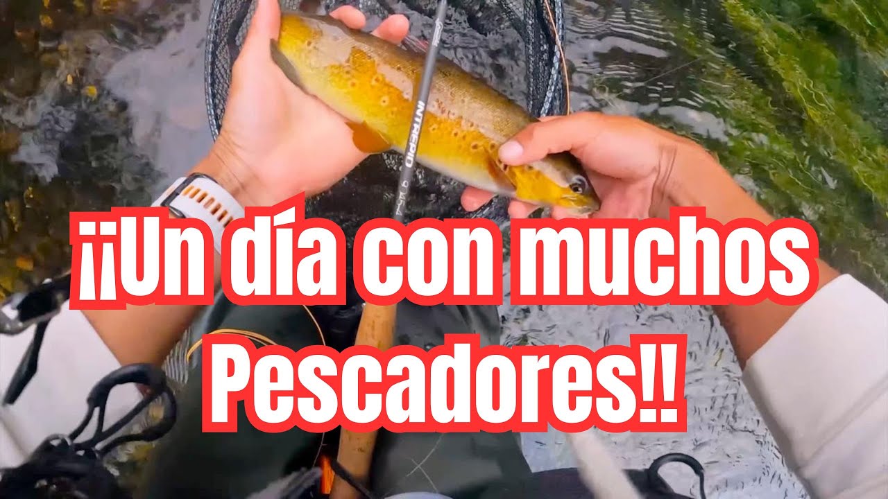 Pesca con mosca Seca 
