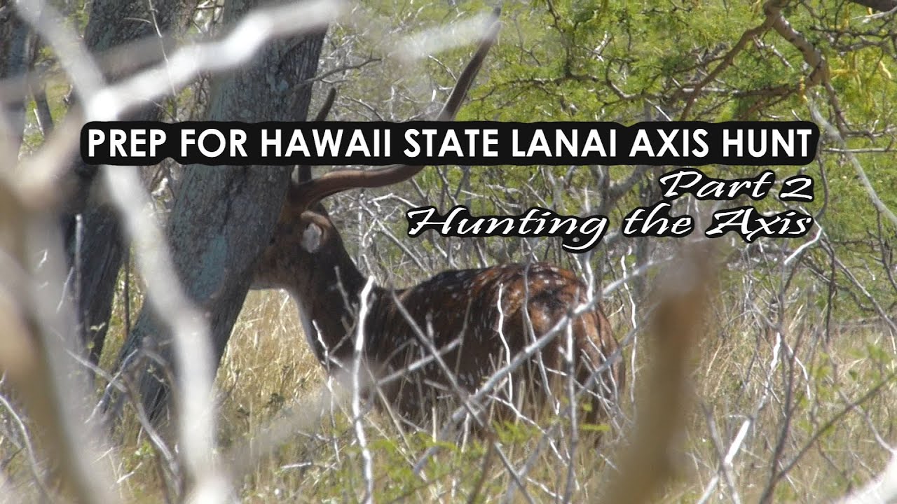 Preparation for Hawaii State Lanai Axis Deer Hunt : Part 2