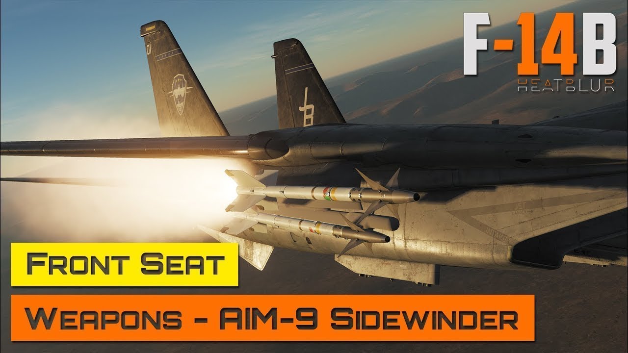 DCS World - F-14 Tomcat - Переднее сиденье - Вооружение - AIM-9 Sidewinder