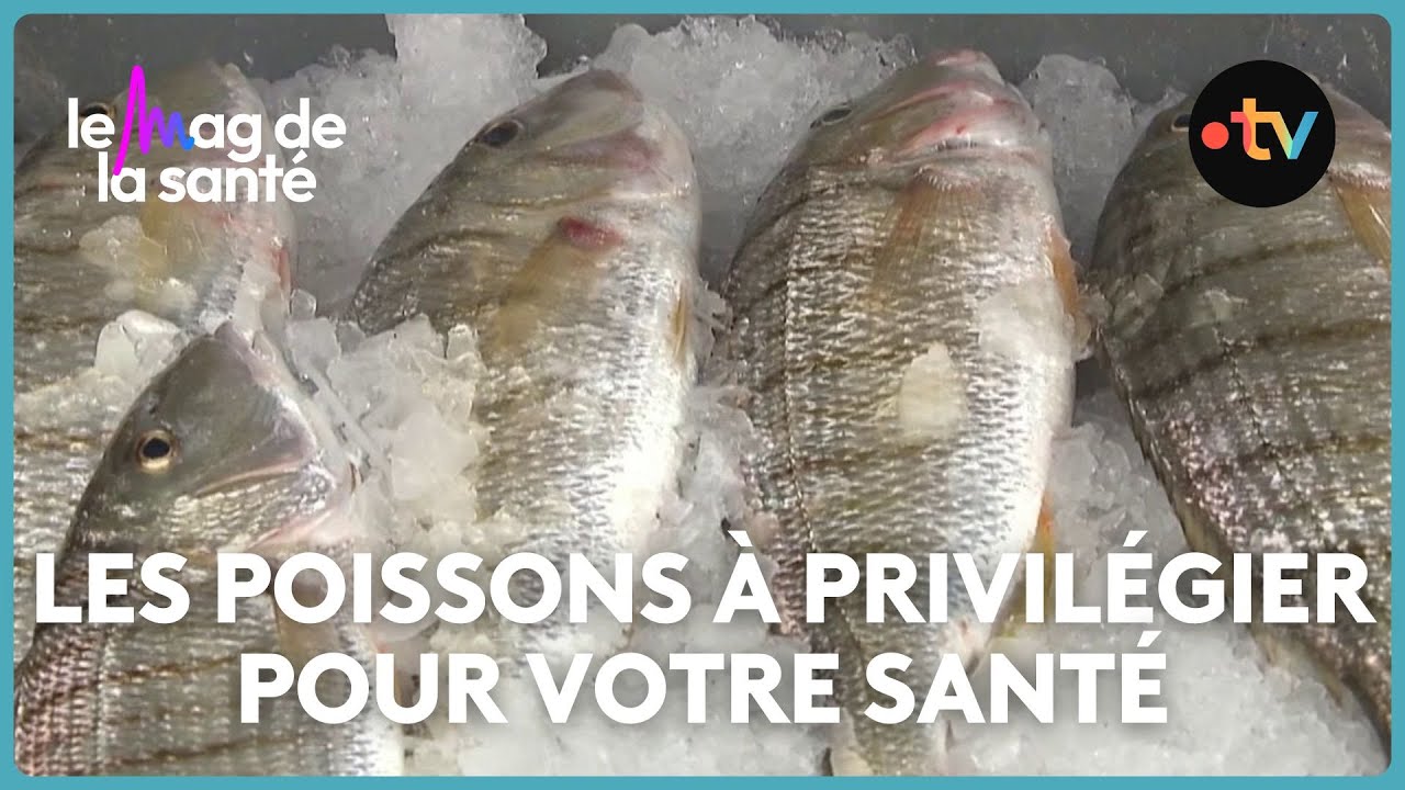 Saumon, thon, sardine... faut-il manger du poisson tous les jours ?