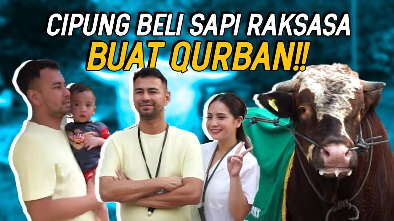 CIPUNG BELI SAPI  1.1 TON HASIL KERJA KERAS SENDIRI! RAFFI NAGITA SIAPIN PULUHAN SAPI BUAT QURBAN