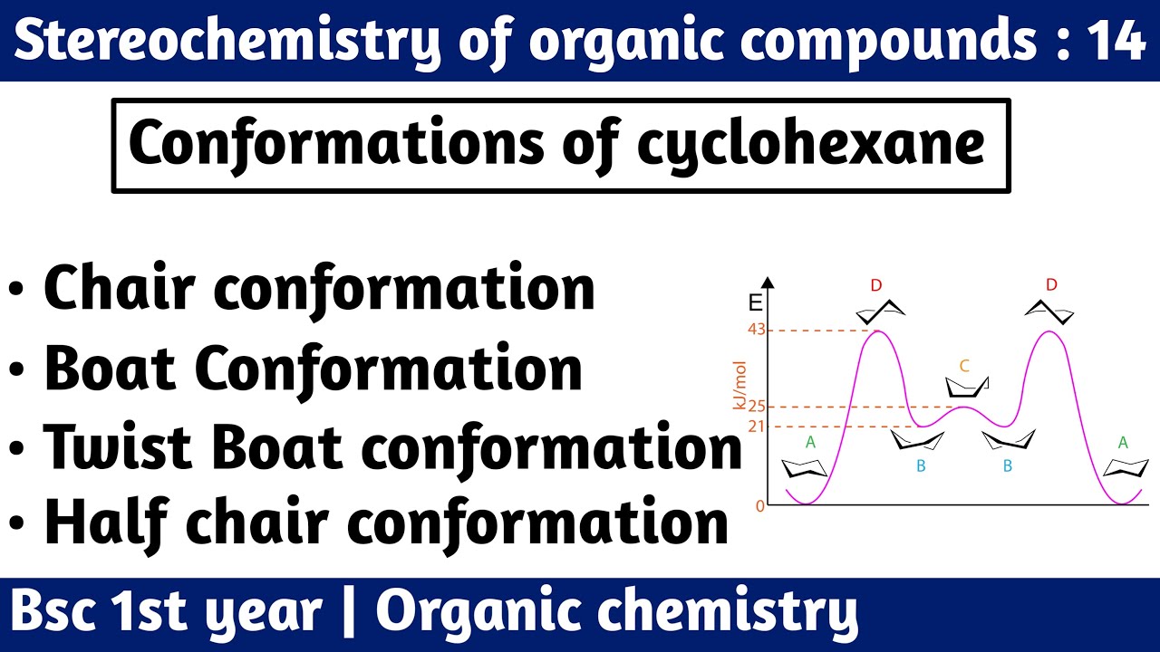 Conformations of cyclohexane | Stereochemistry of organic compounds - bsc 1st year chemistry