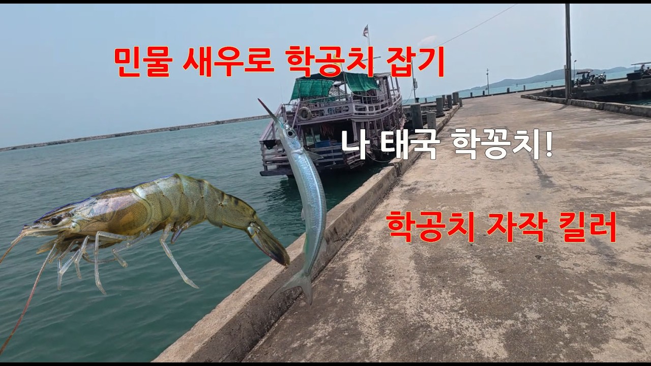 민물새우로 학공치 잡기#태국생활#태국여행#낚시#태국낚시#학공치낚시#학꽁치낚시#학꽁치#학꽁치채비#학공치채비#학꽁치킬러