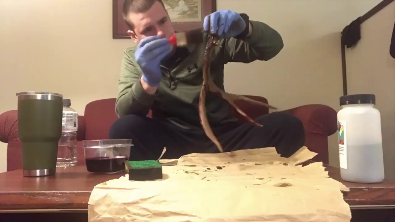 Antler Restoration with Potassium Permanganate!