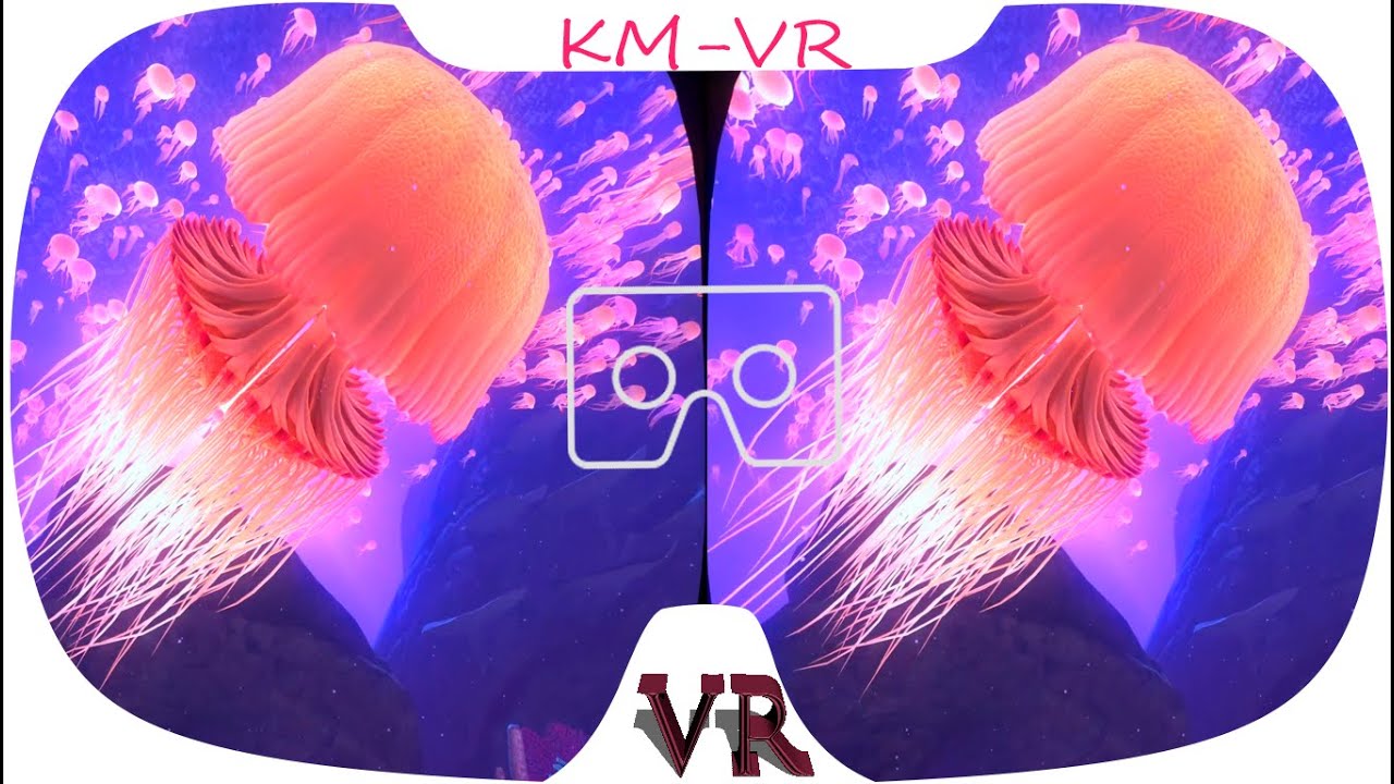 3D VR VIDEOS 527 4K