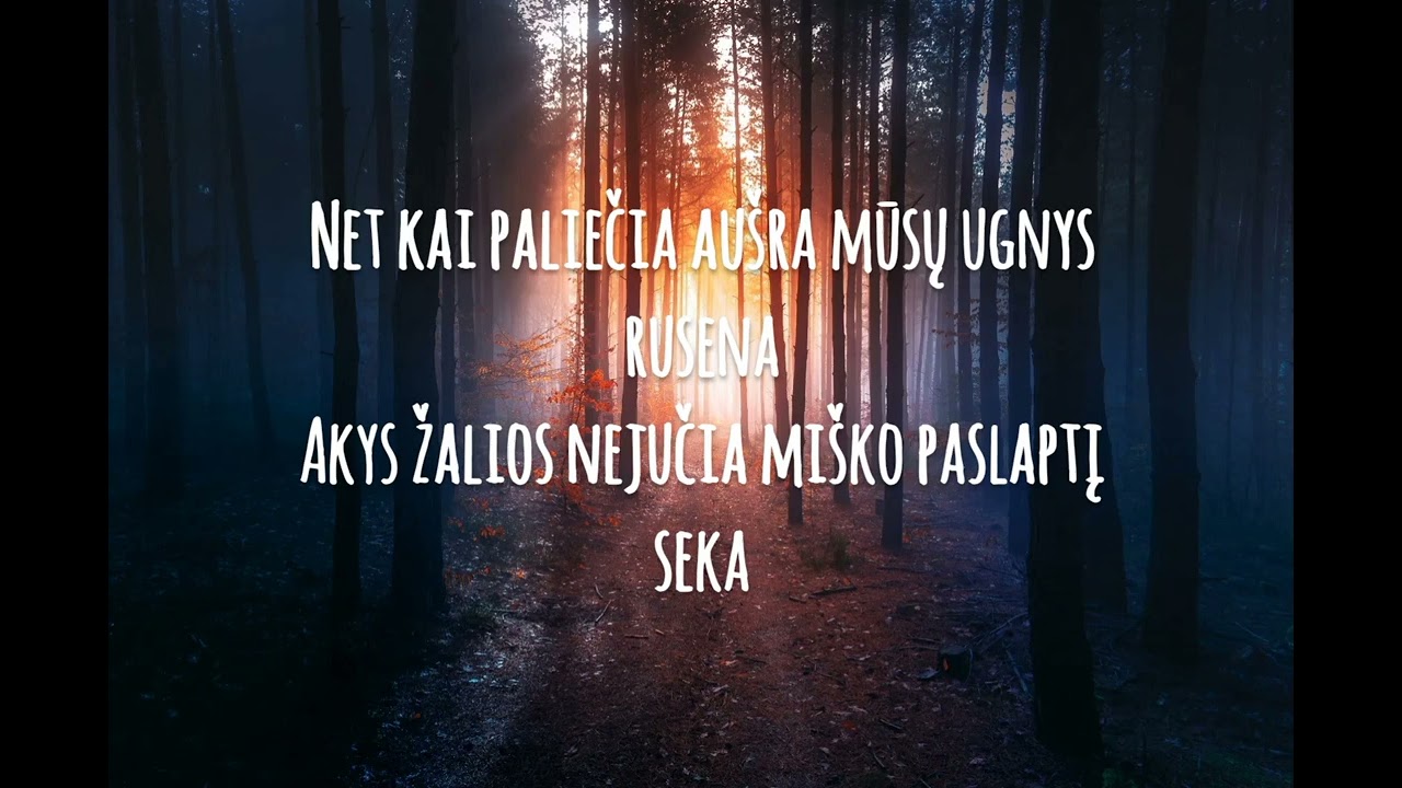 Vaidas Baumila  Kunigunda
