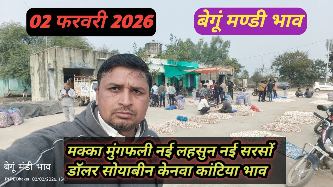 02 फरवरी 2026 | मक्का मुंगफली नया लहसुन नई सरसों डॉलर  केनवा सोयाबीन भाव | बेगूं मण्डी भाव