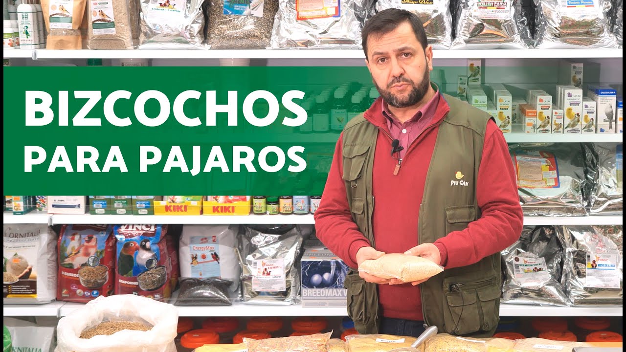 PASTAS  para AVES ✔️ Bizcochos para PAJAROS (Cría, muda, etc )