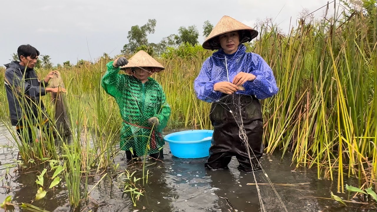 1716 / Giăng lưới khu đất hoang dính cá thấy mê 