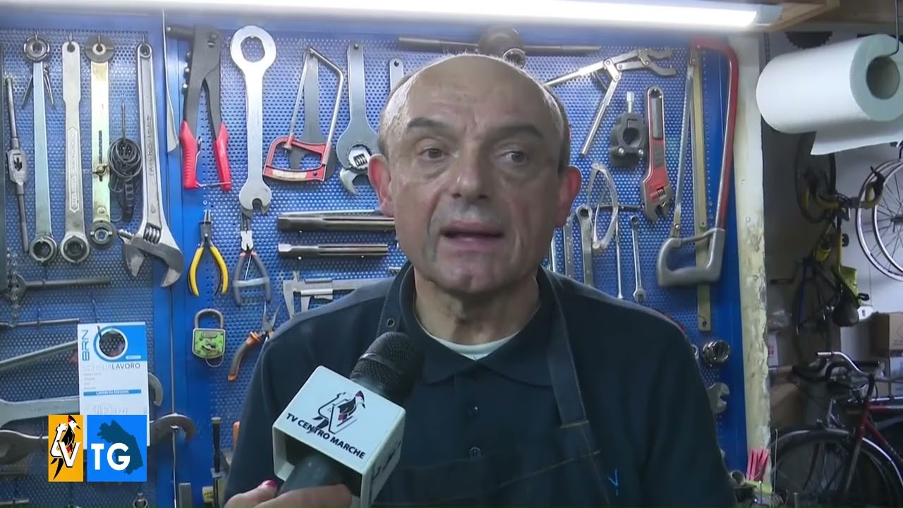 San Benedetto del Tronto, la pianta che buca le gomme delle bici