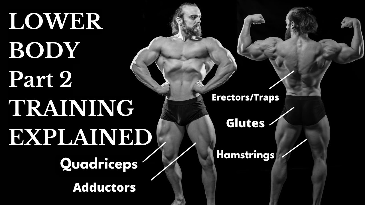 FULL LOWER BODY TRAINING Part. 2 (Posterior chain focus, isolation work, managing lowback fatigue)