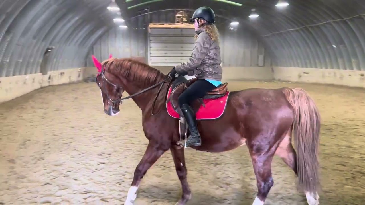 Ruby slaughter-Sherman-equine affaire-2026