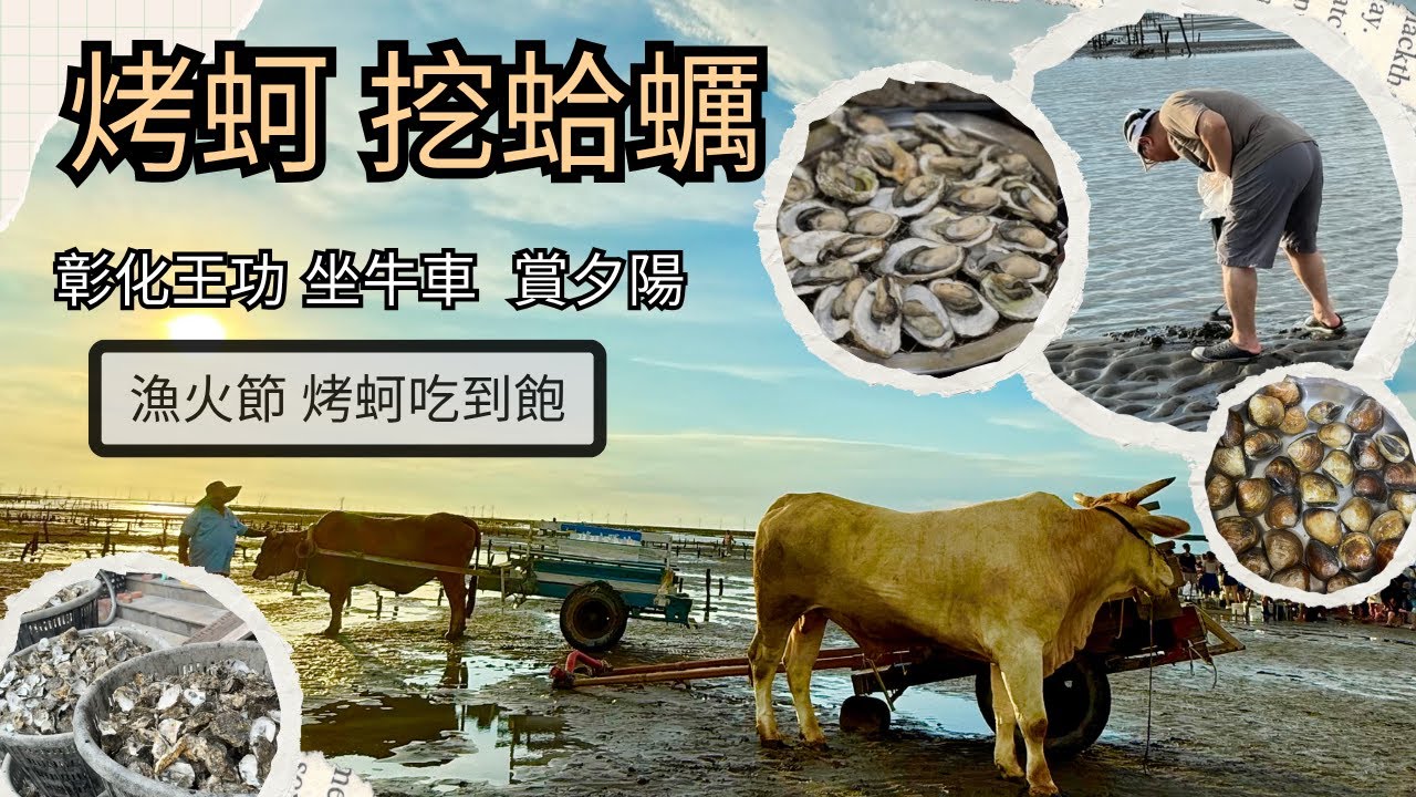 【彰化 王功】現烤蚵仔無限吃＋芳苑挖蛤蜊！漁火節最chill  最接地氣海線一日輕旅行 親子遊 潮間帶生態旅遊 彰化海邊最美體驗一次打包 在地體驗超療癒