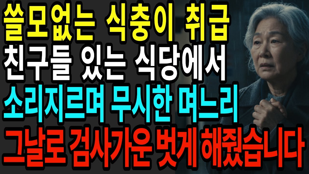 시어머니를 쓸모없는 식충이 취급하는 며느리 - 친구들 앞에서 무시하며 소리치는 검사며느리 그날로 옷벗게 해줬습니다