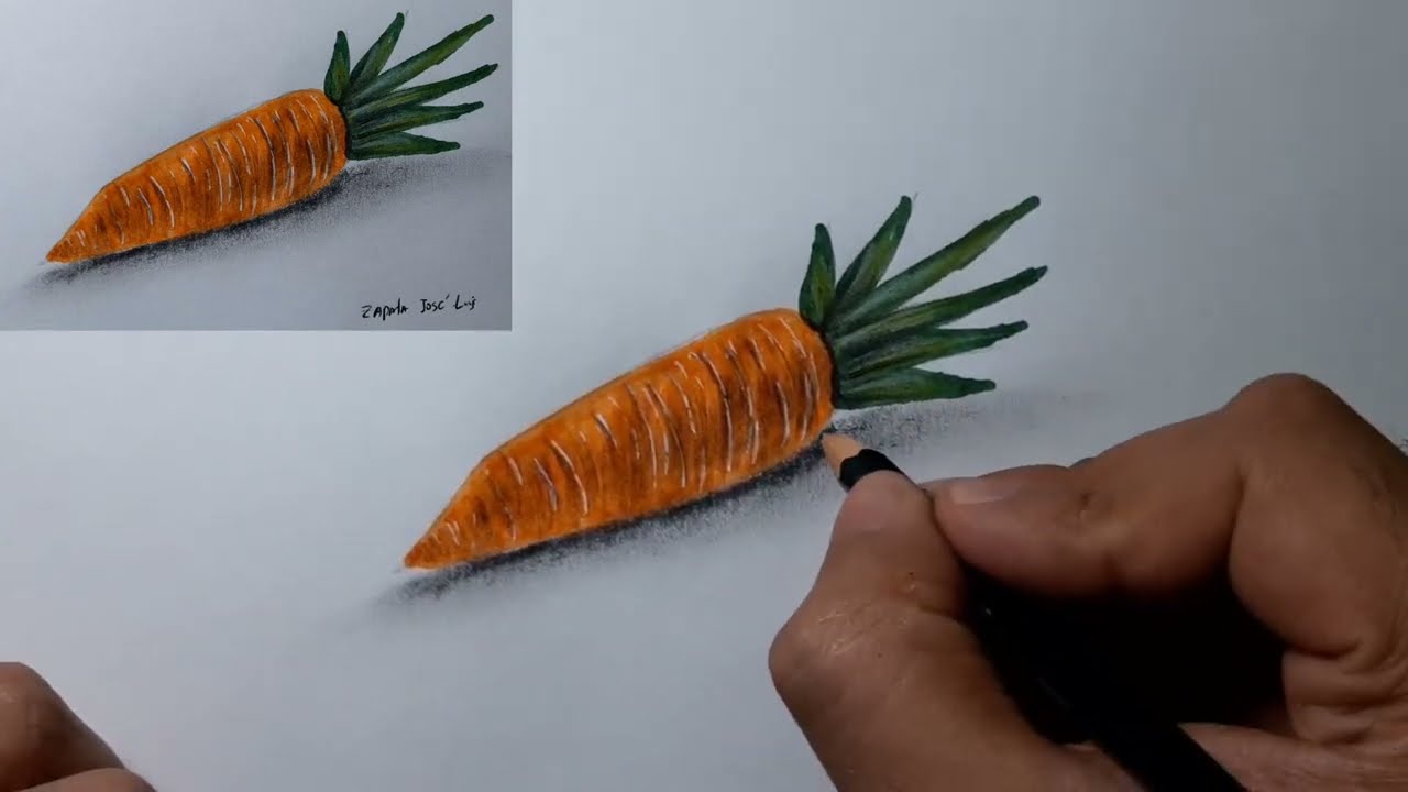 Comment dessiner une carotte
